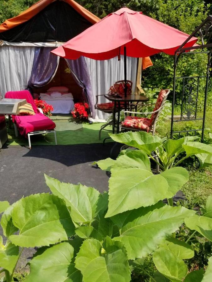 Ethel Maud Place Hotel Severn Zewnętrze zdjęcie